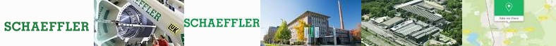 Kg AG Domain Germany Ib Group ... How Schweinfurt Ag Schaeffler KG: & KG schaeffler get Co. | Exhibi