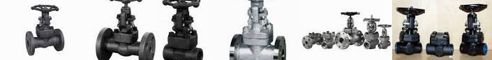 from Check valves - Manufacturer 1250 steel Rs | /piece ... Dombivli & Valve, Omega Steel Gate Gate,